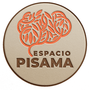 Logo Espacio Pisama
